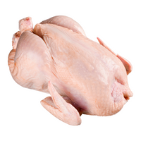 Whole Chicken Size 12 [Frozen]